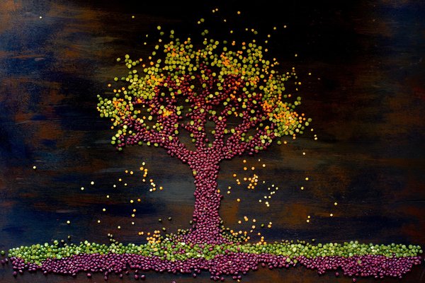 Comment cuisiner des repas végétaliens équilibrés et délicieux ?